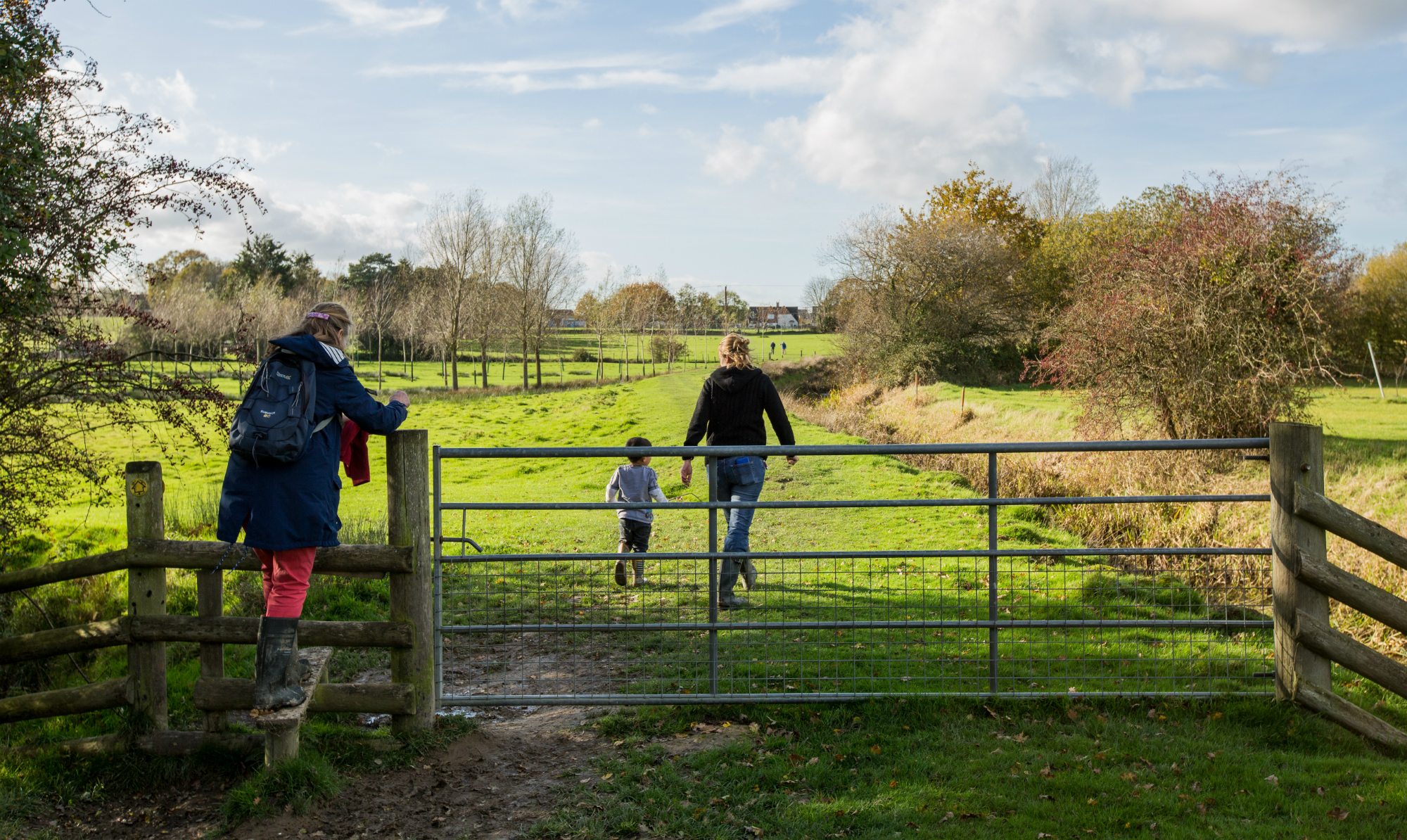 Image of Ashford