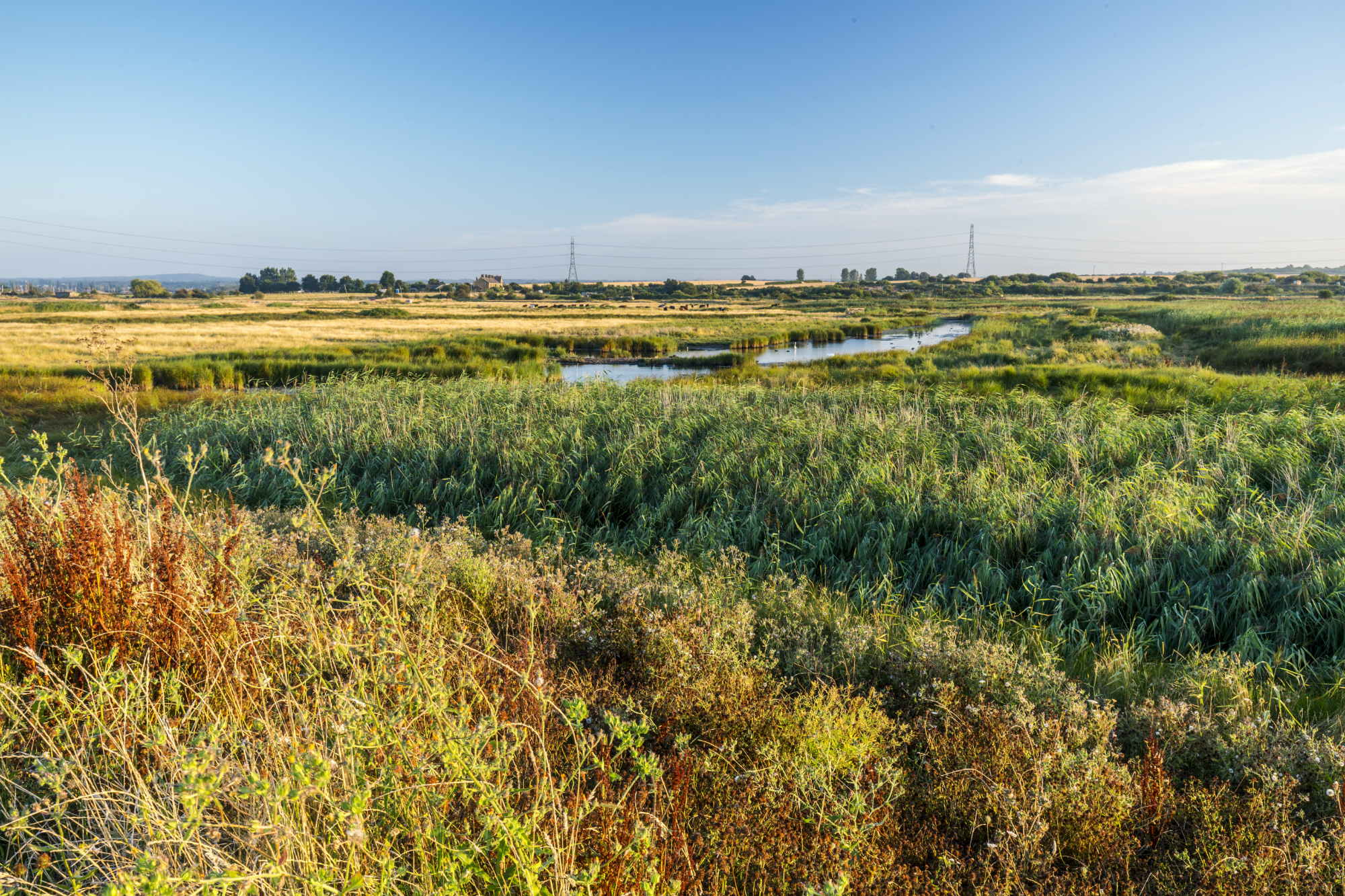 Image of Faversham