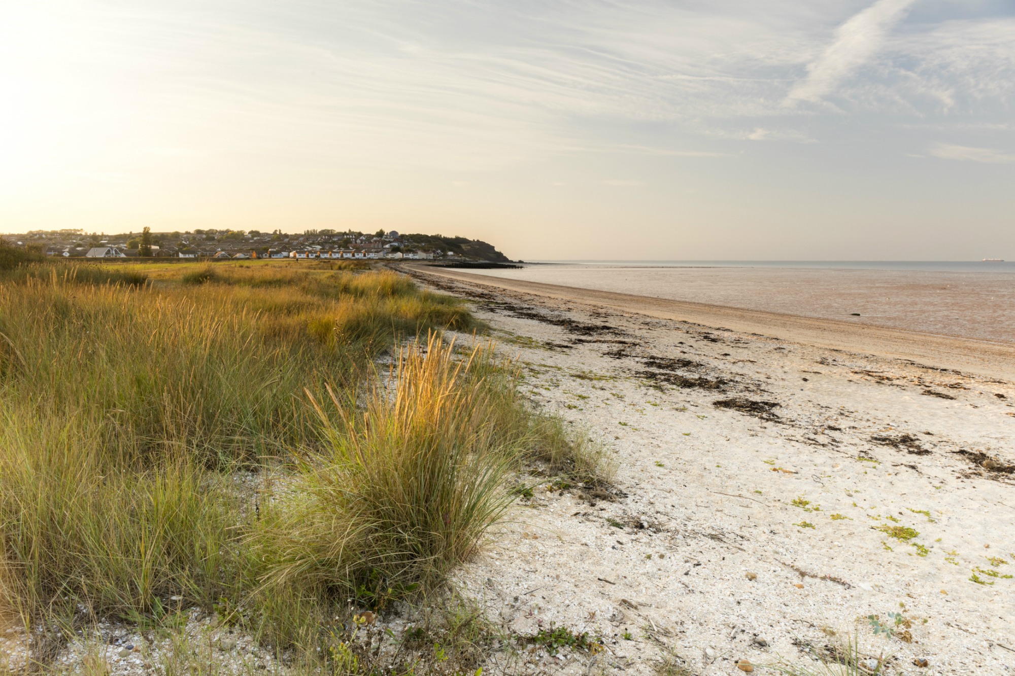 Image of Isle of Sheppey